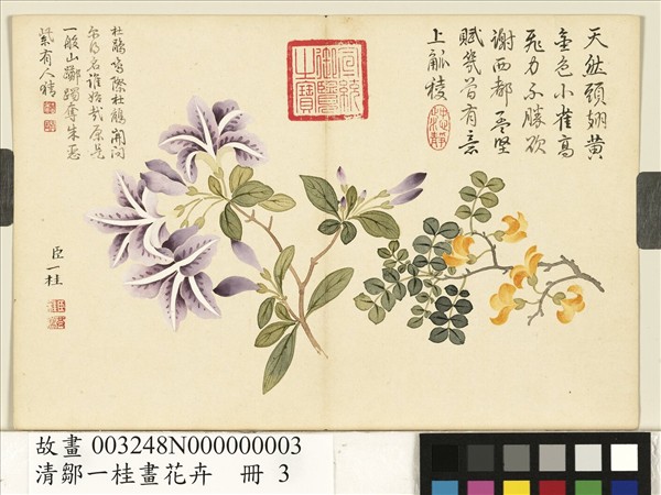 清鄒一桂畫花卉冊金雀杜鵑- 故宮