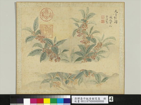 清惲壽平花卉八幀冊擬逃禪老人寒香圖- 故宮