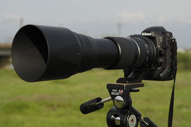 レビュー】タムロンの150-600mmズームレンズを購入: Digital Photo Life