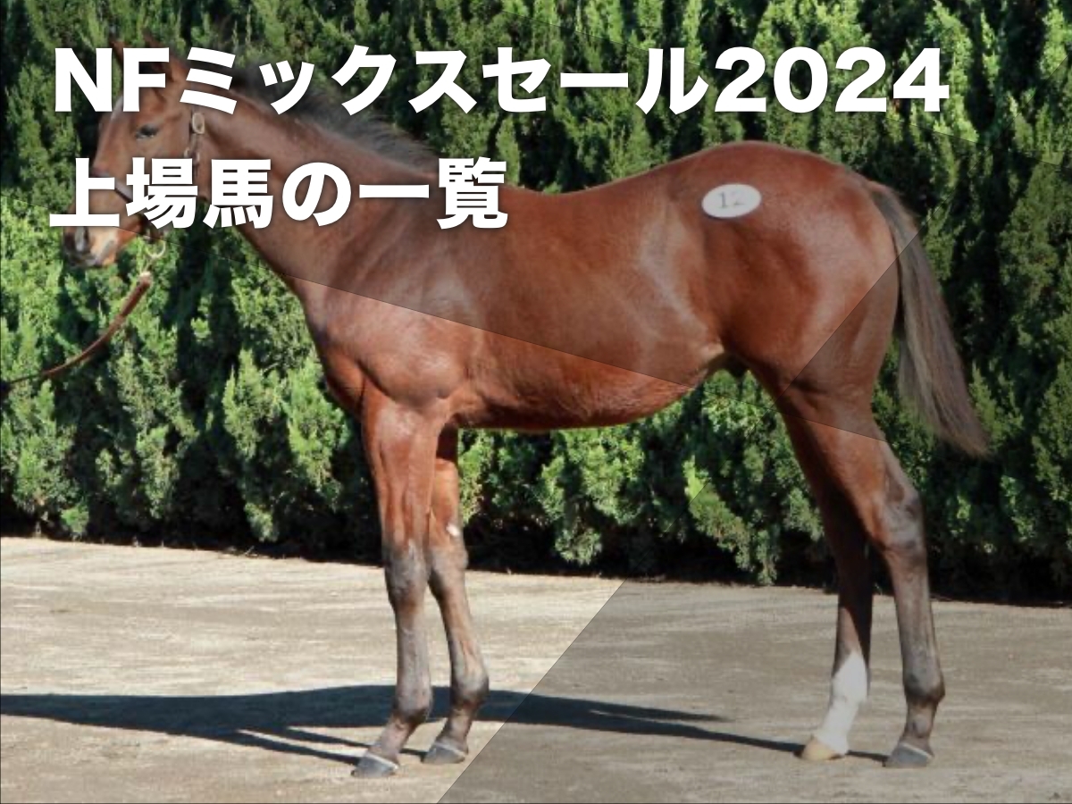 ミックスセール2024】速報・ライブ配信・ノーザンファームミックス