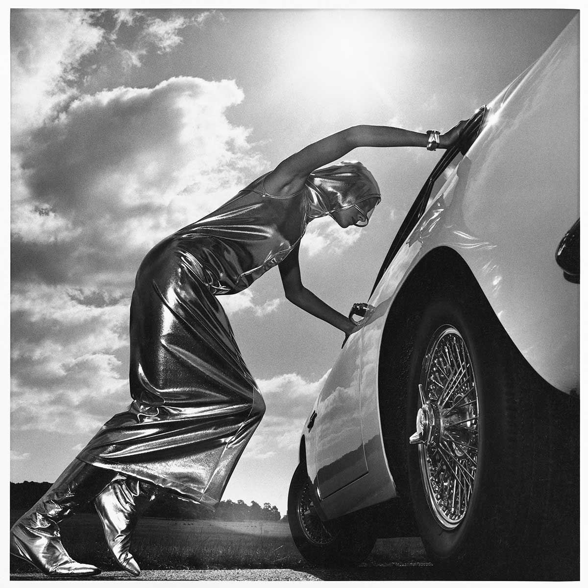 ヘルムート・ニュートン・レガシー・バンク オーストリア・クンスト