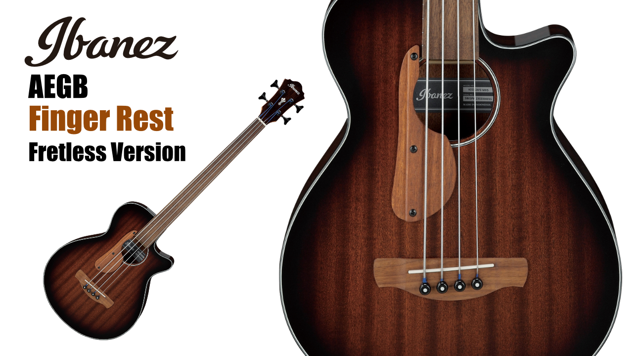Ibanez AEGB24FE 登場!!