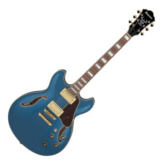 Vivie（ヴィヴィ）からProfessionalシリーズの派生機種、ギター