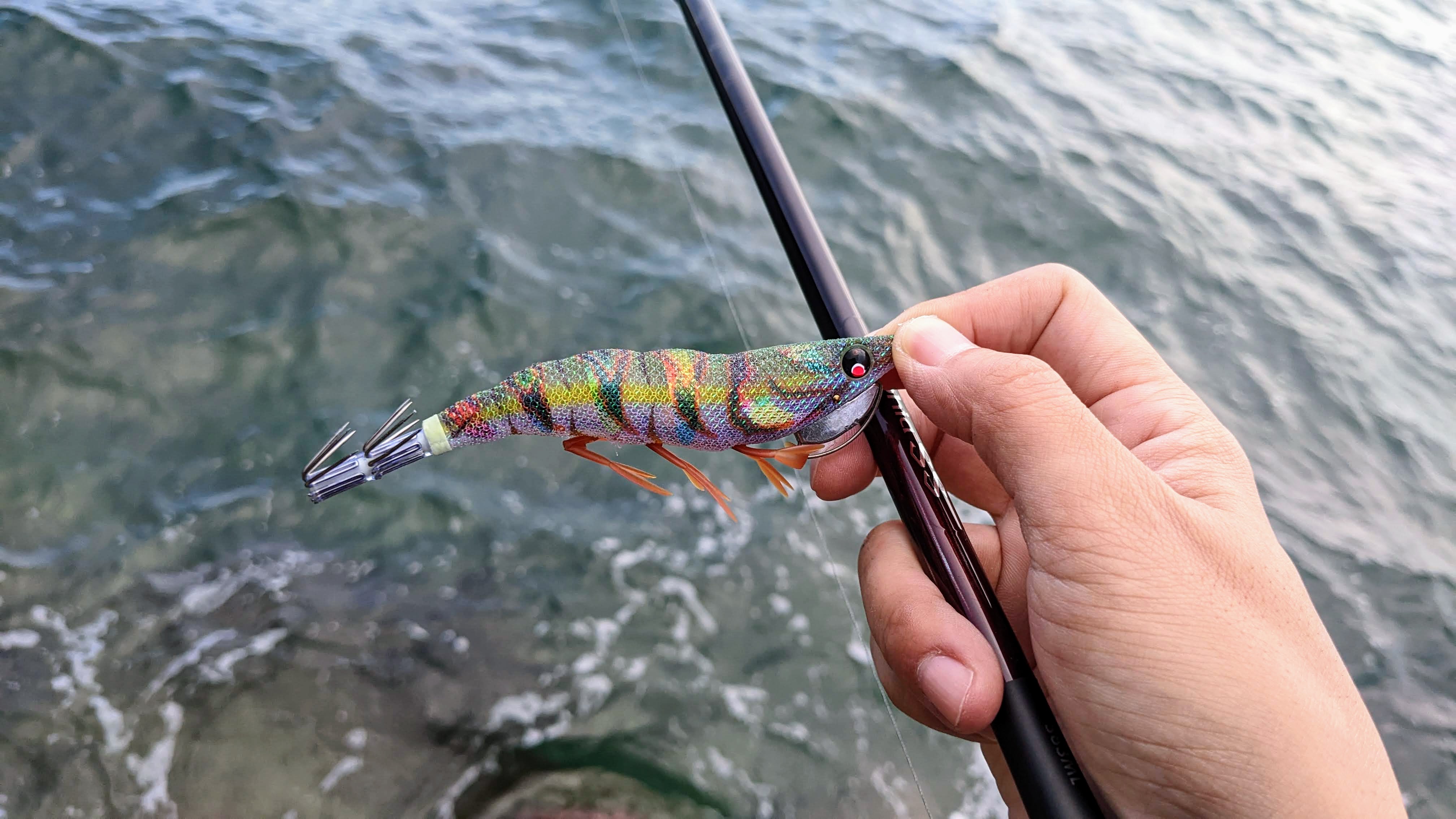 インプレ】エギングロッド 19セフィアSS S83MLを買ったので早速釣行へ