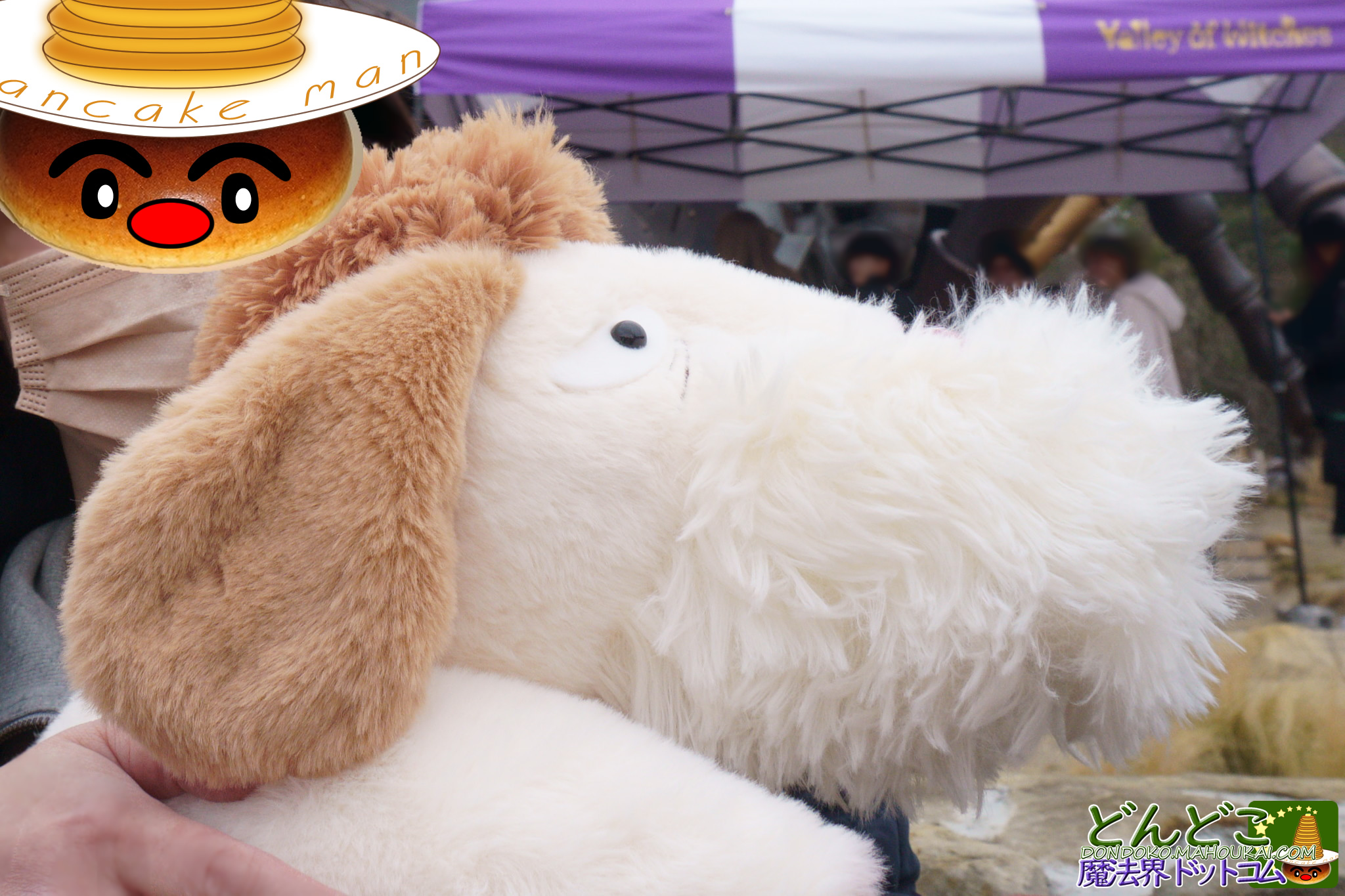 ジブリパーク限定】ハウルの動く城「特大ヒンぬいぐるみ」徹底紹介！重