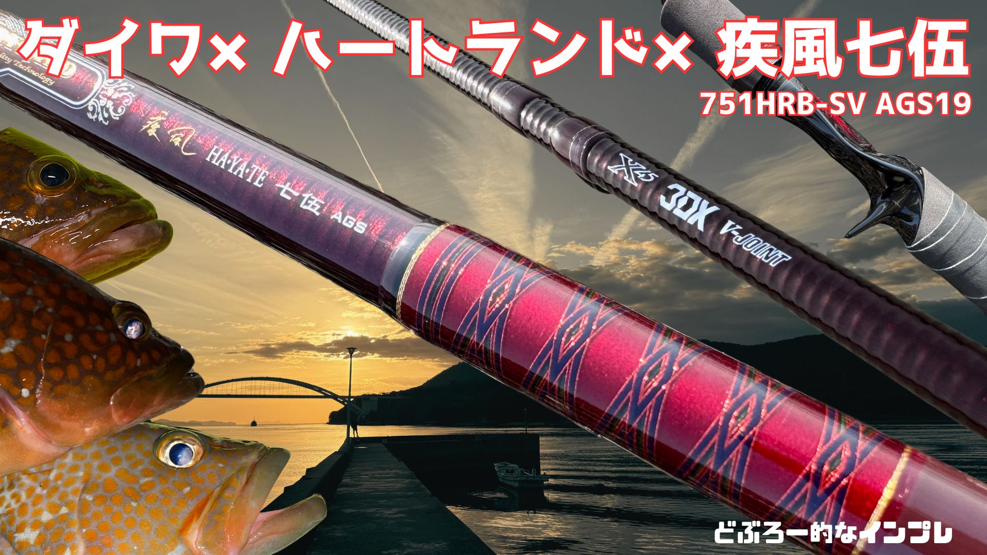 Daiwa HL 751HRBーSV AGS19 HAYATE75 AGS 【公式通販】