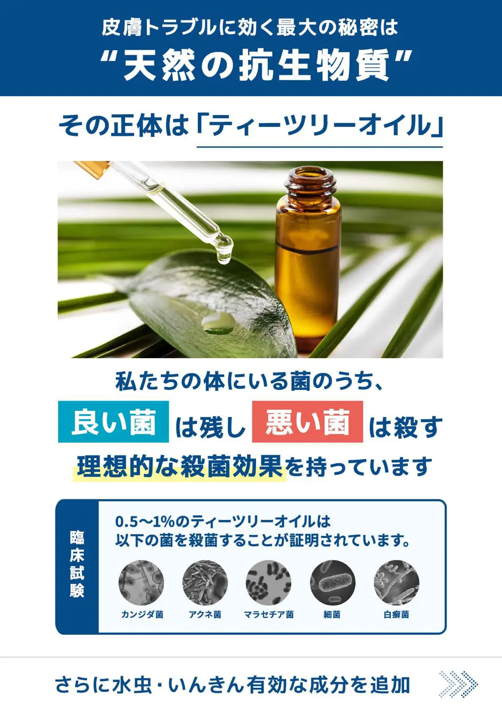 ファンガソープEX 取扱説明書