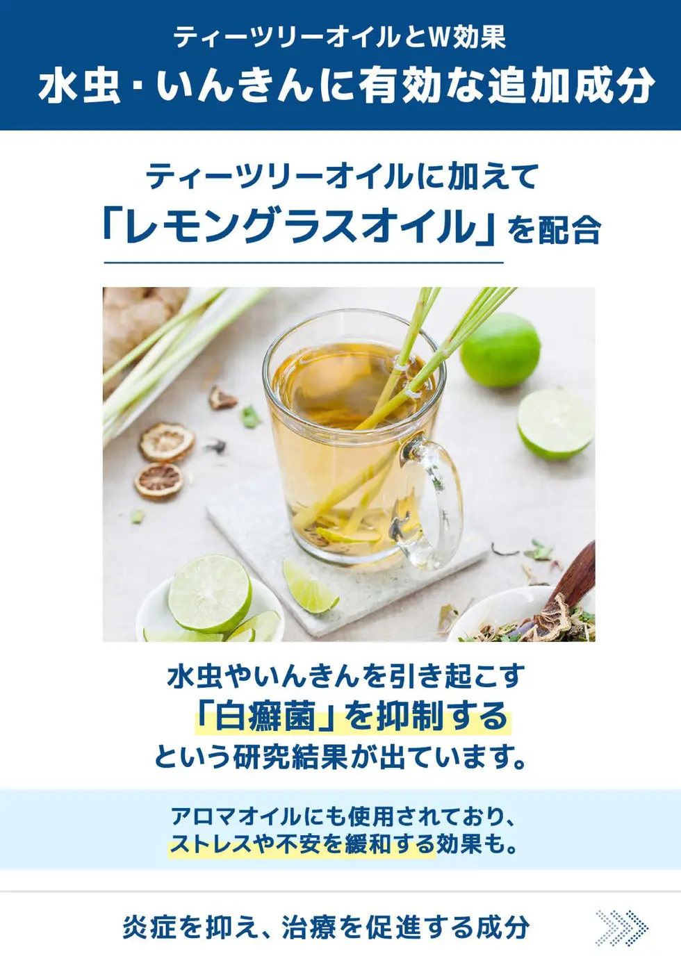 ファンガソープEX 取扱説明書