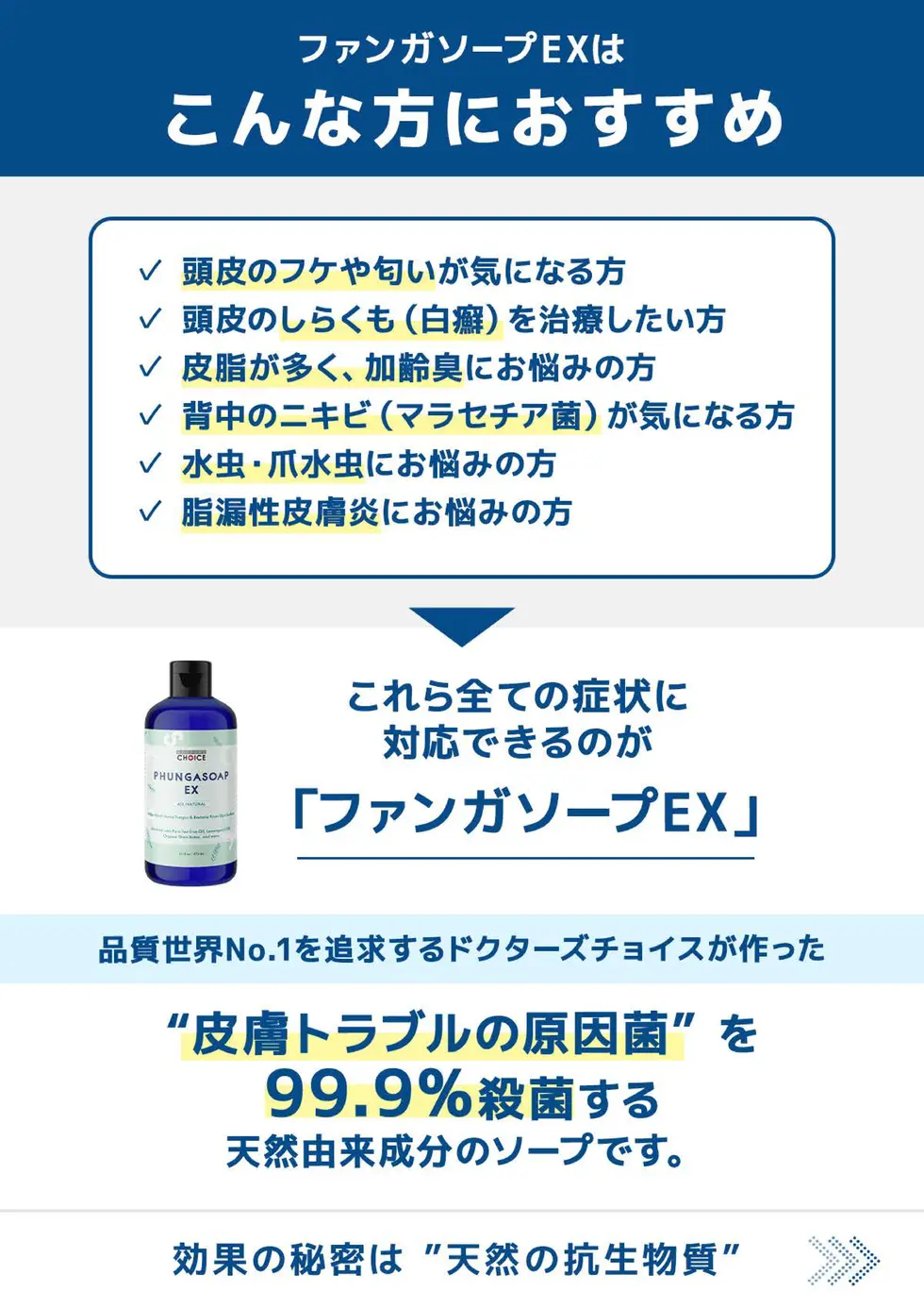 ファンガソープEX 取扱説明書