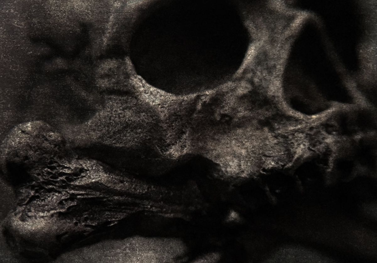 DOG STATE | ドッグステイト