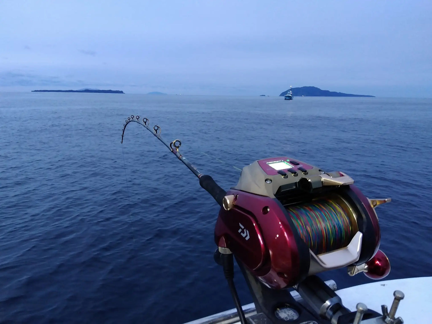 Daiwa 24 Seaborg 1800MJ Electric Reel * | Dogfish Tackle & Marine