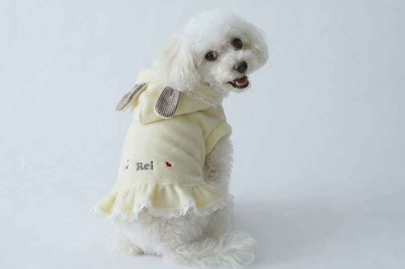 お名前刺繍］フリース・うさみみレースワンピース | 犬服通販ドッグピース