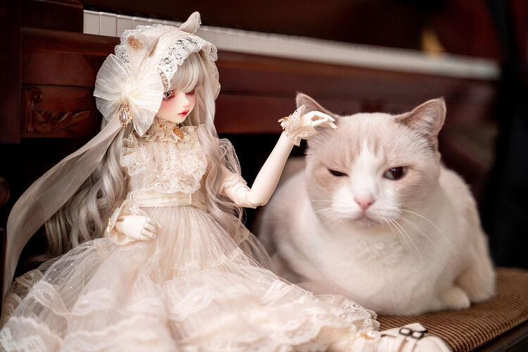 DOLK×MELODY.C×MYOU DOLL】白猫Zuzana ver. Limited - Special