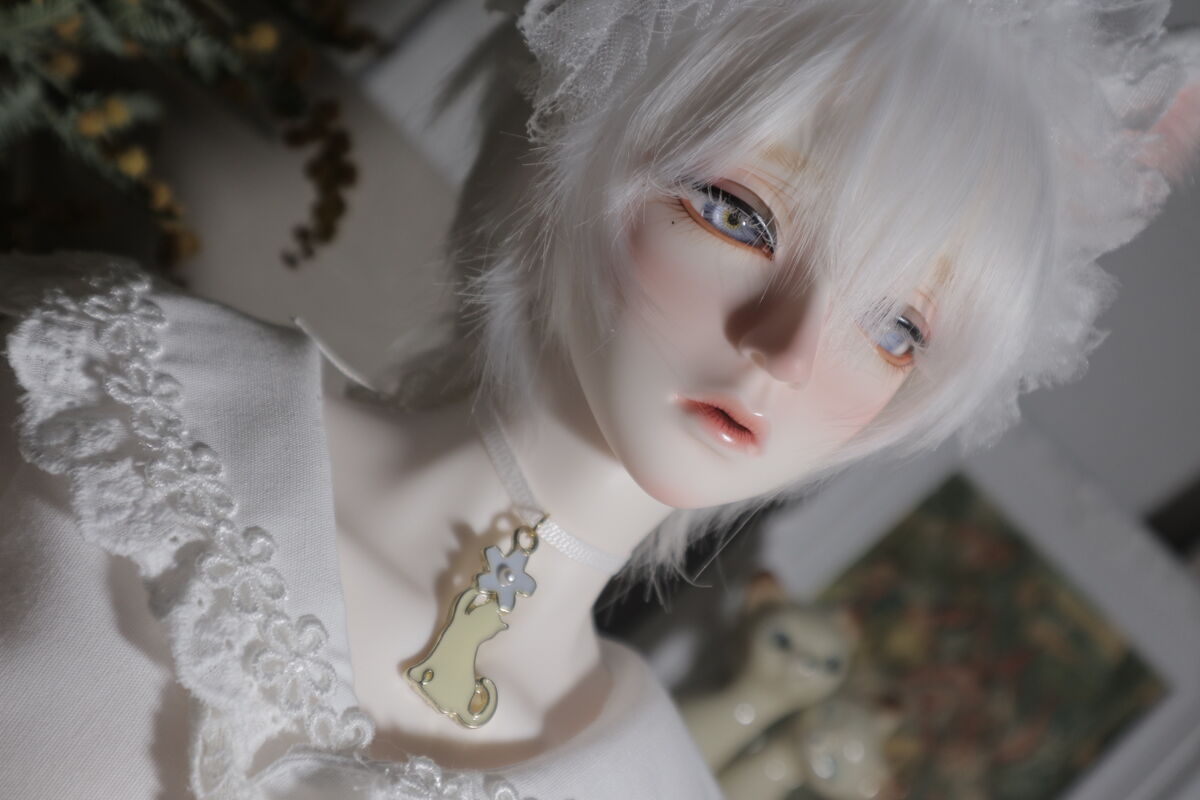 DOLK×RSDOLL】New EVAN 白猫 ver. Limited - 猫の日 Special Reissue