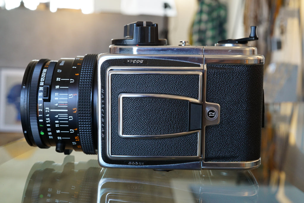 Hasselblad 503CX (CF Planar T* 80mm f/2.8+A12 Magazine