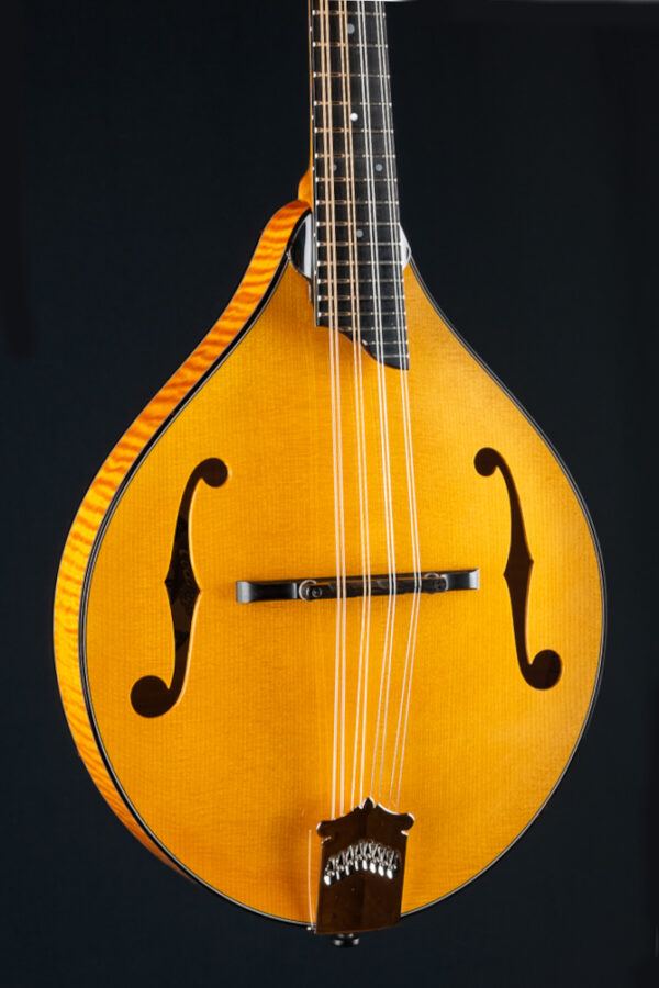 Collings MT2 Honey Amber Adirondack Spruce and Flamed Maple