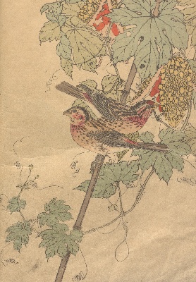 景年花鳥画譜』秋之部 | NDLイメージバンク | 電子展示会