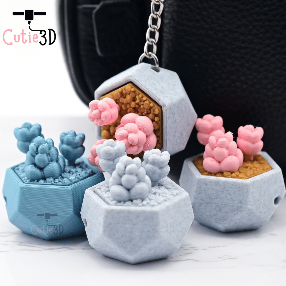 1000X1000-Cutie3D The Dreamy