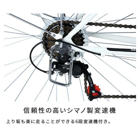 dショッピング |cyma CHRYS(クライス) ブルーグリーン 資格を持った