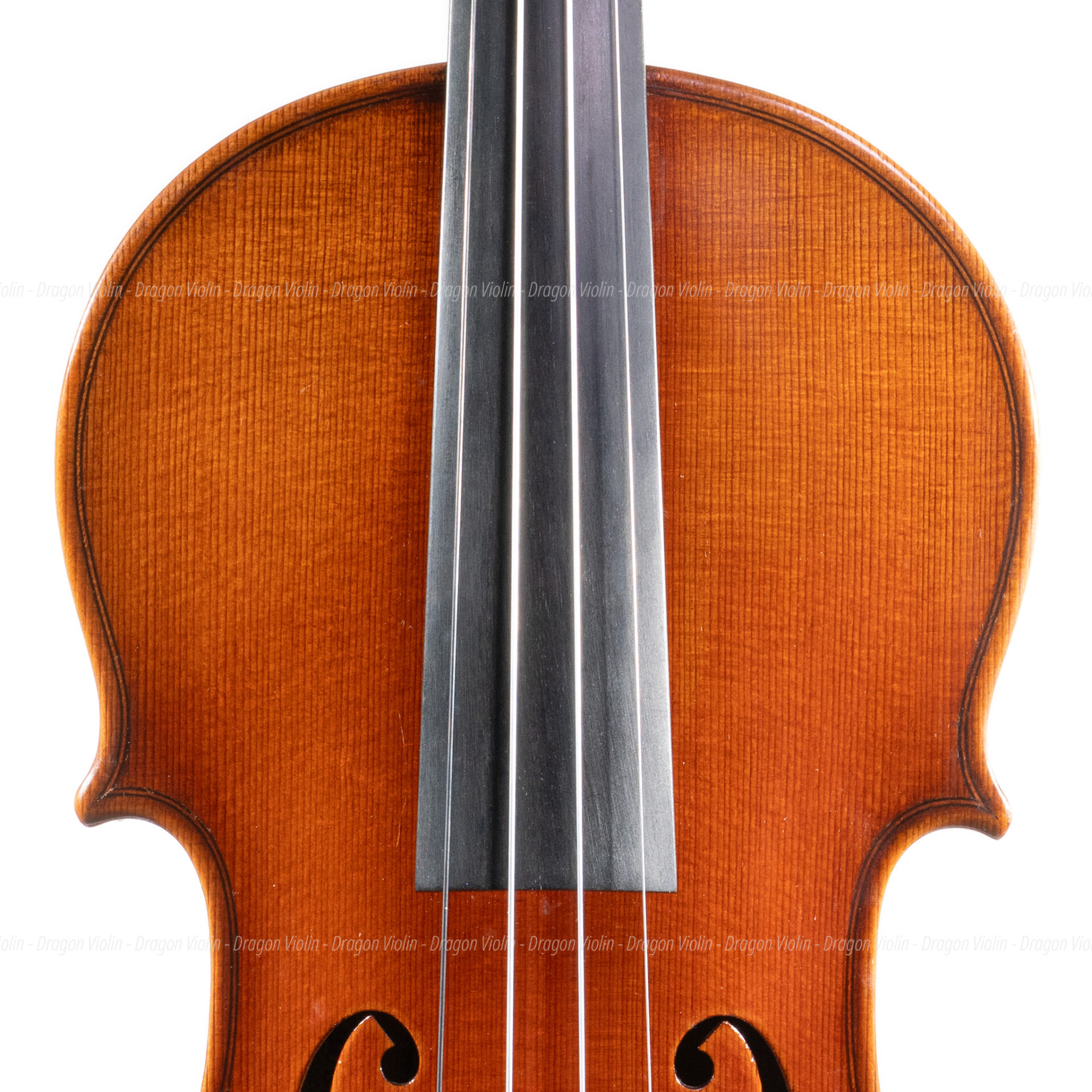 Ernst Heinrich Roth #72 violin 1995, Certificate - Dragon Violin