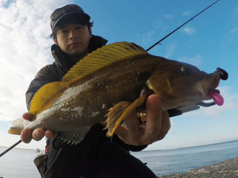 ドリームコンスリー88Hインプレッション（中村勇介） – DreemUp