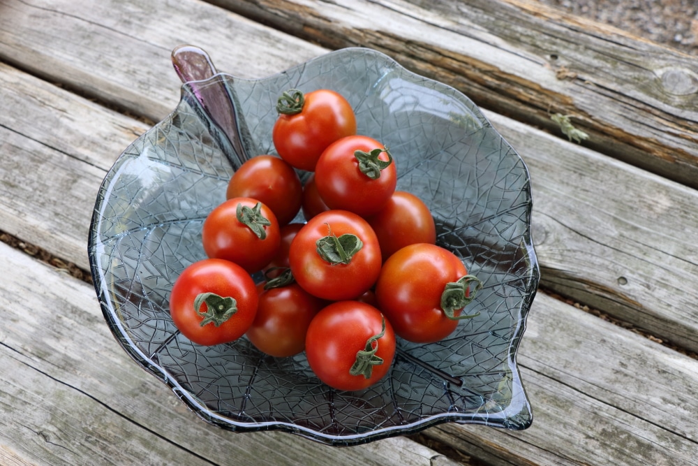 つまんでちょんまげ ぎゅっとドライトマト 15g: せとうちエリア