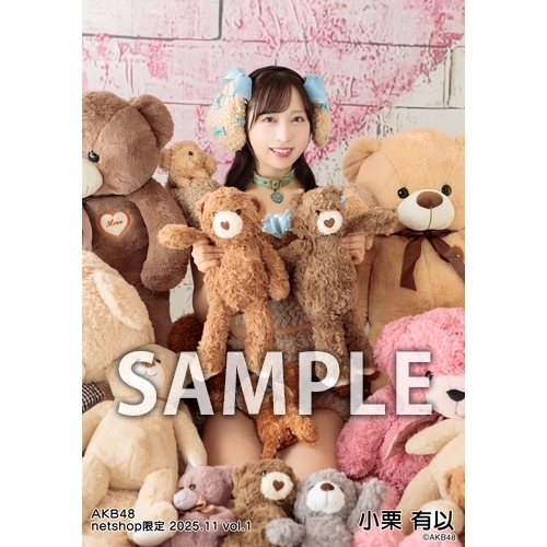 予約商品】AKB48 2025年11月度 net shop限定個別生写真5枚セットvol.1