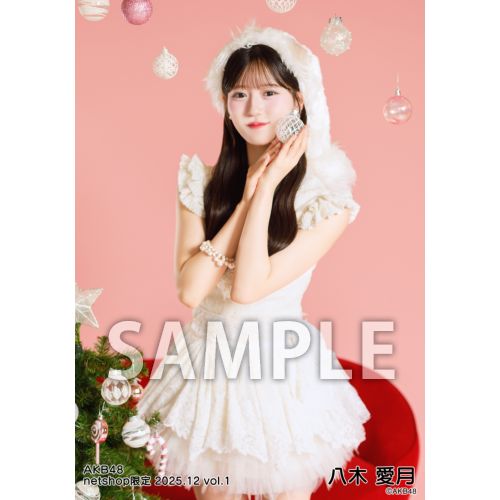 予約商品】AKB48 2025年12月度 net shop限定個別生写真5枚セットvol.1