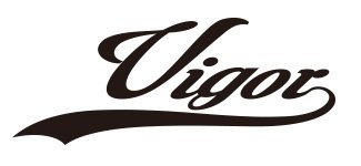 Vigor - SALT｜製品情報｜DUO International / ルアーメーカー デュオ