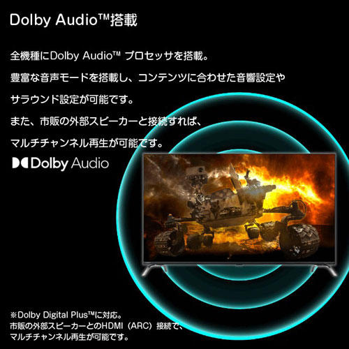 ORION チューナーレススマートテレビ 24V型 SLHD241(24V型): OA機器