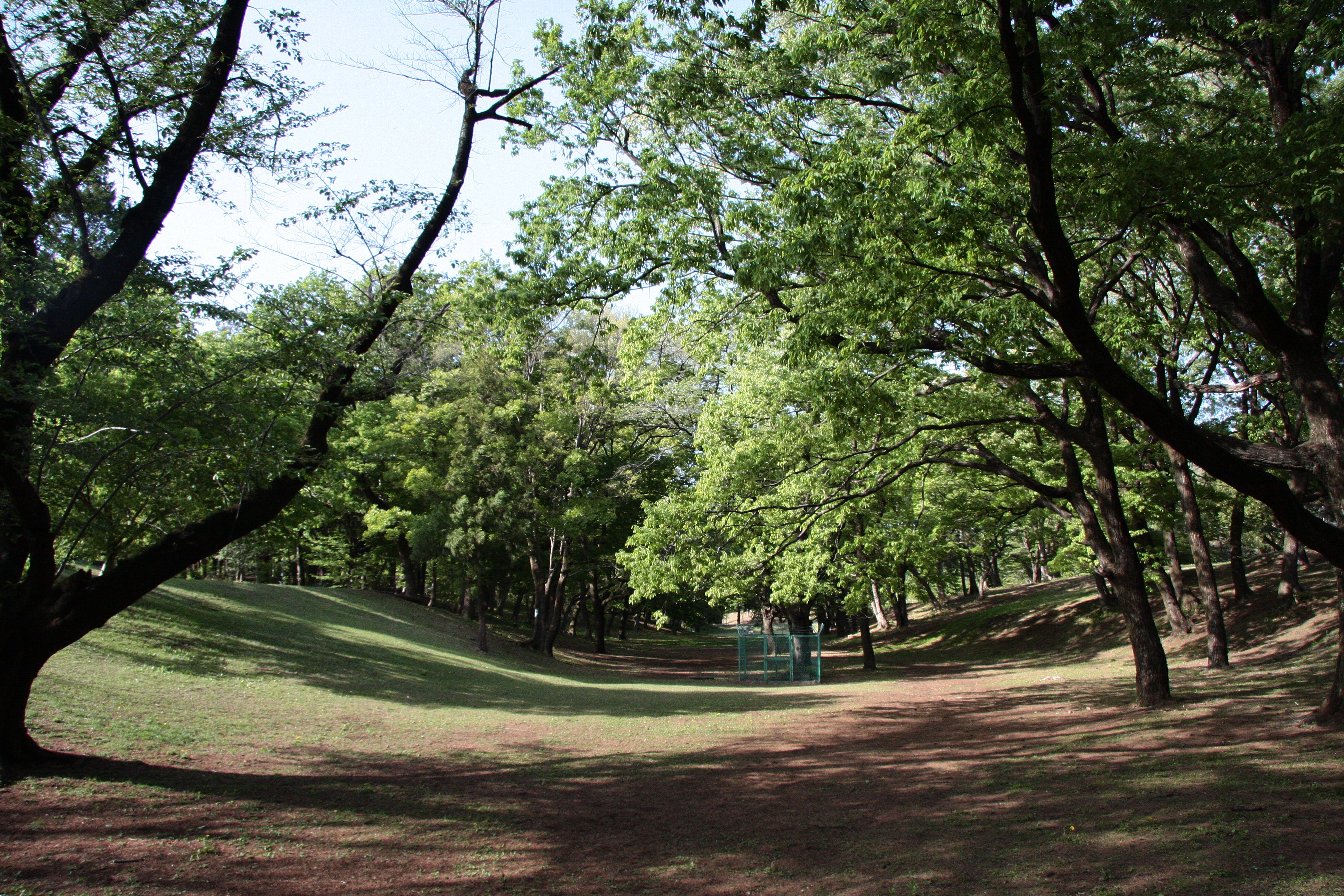 アウトドアライフを楽しもう！｜ディントコヨーテ | キャンプ用品