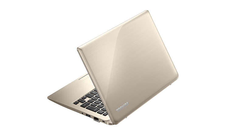 N51/V 仕様 2016夏モデル サテンゴールド 11.6型 ネットノート PN51VGP