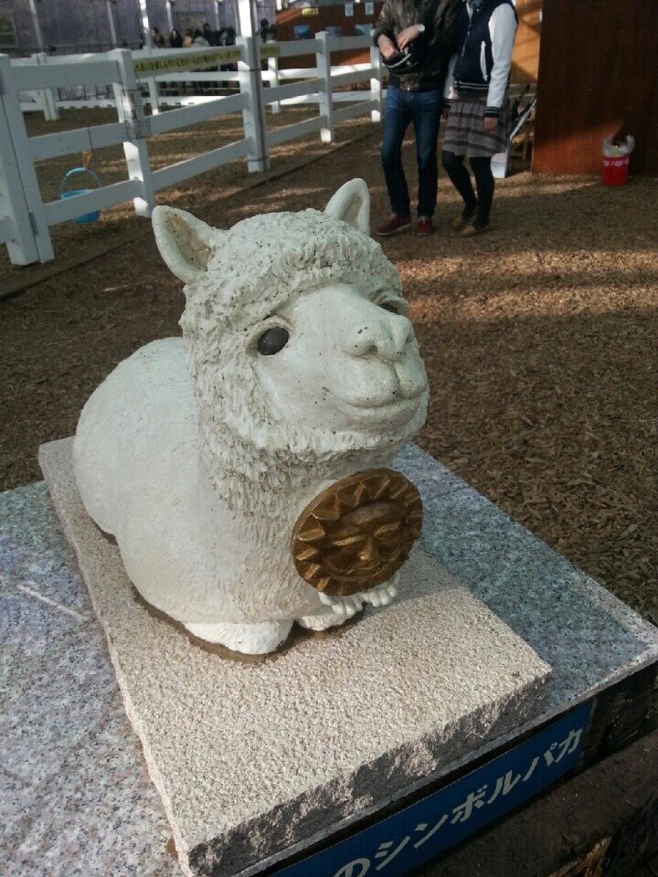 2026年 那須アルパカ牧場 - 出発前に知っておくべきことすべて