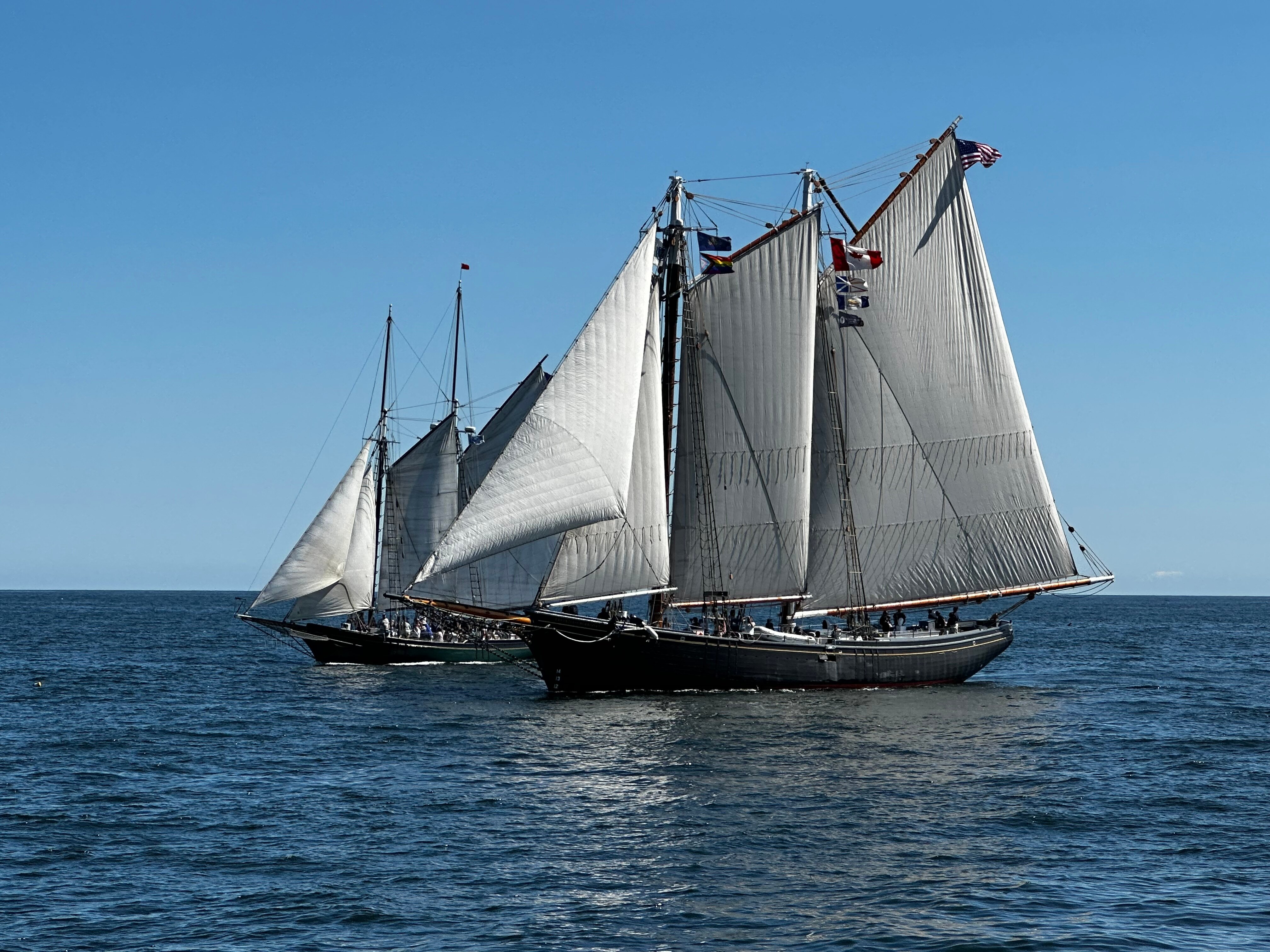 Schooner Adventure (2026) - All You MUST Know Before You Go (with