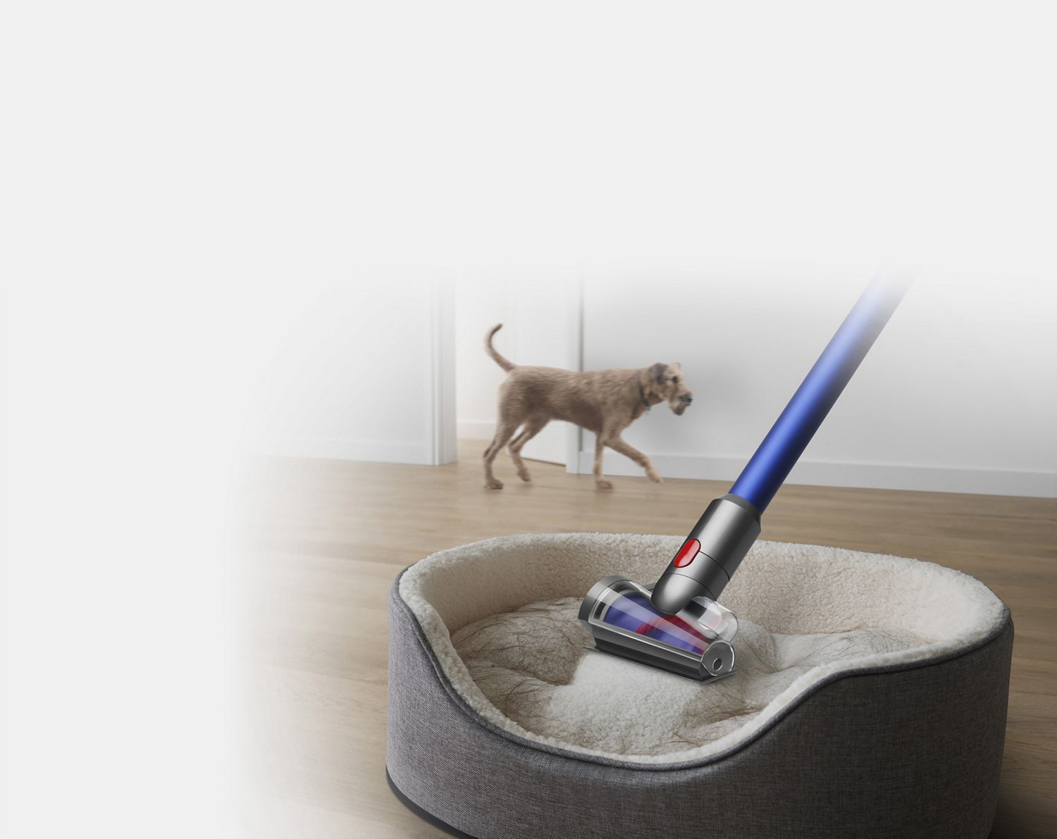 アドバンスクリーニングキット | ダイソン