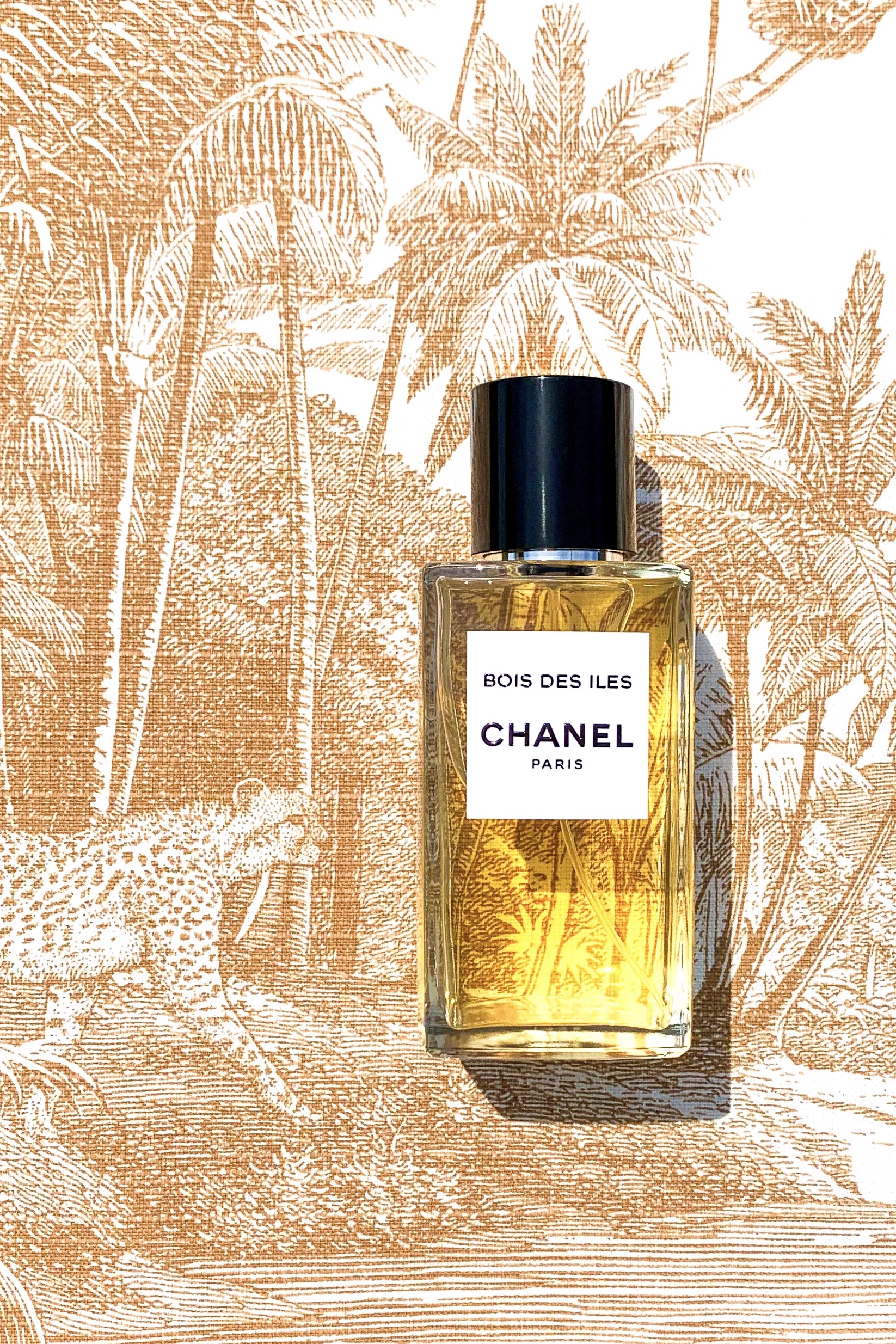 CHANEL Bois des Îles - eauxSILLAGE