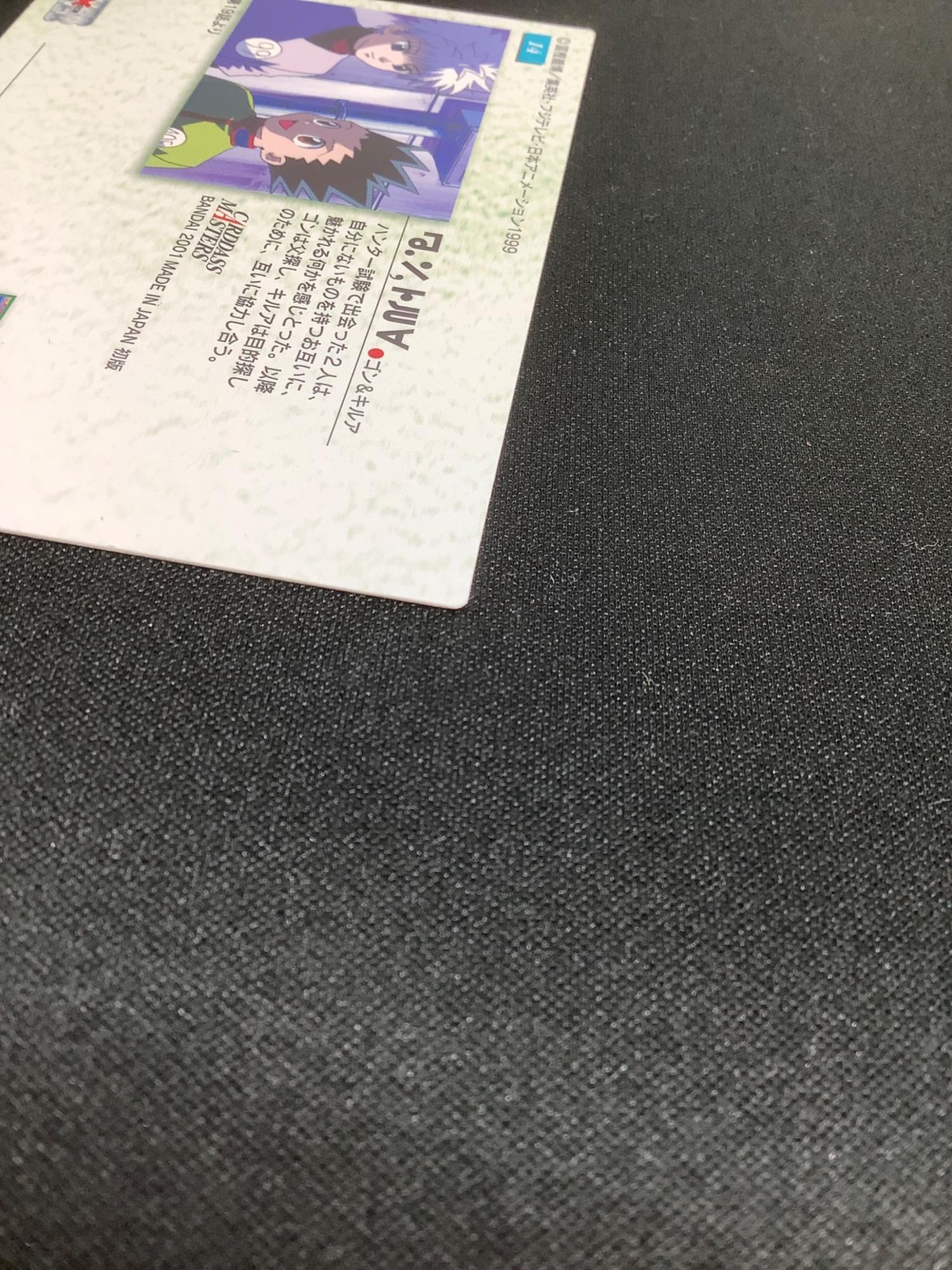 HUNTER×HUNTER (ハンター×ハンター) ゴン キルア カード 14