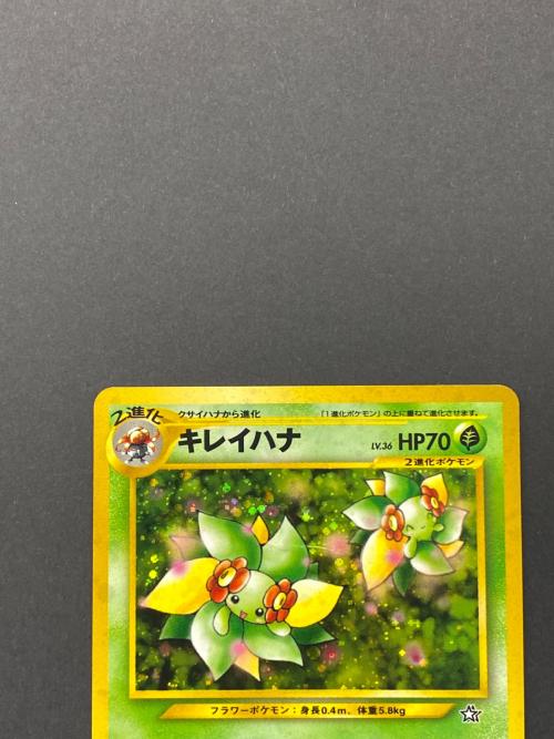 キレイハナ Lv.36 No.182 旧裏面 ポケモンカード ｜トレファクONLINE