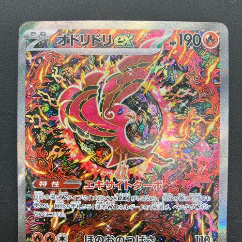 Pokemon（ポケモン）ポケモンカード オドリドリex【SAR】 111/080