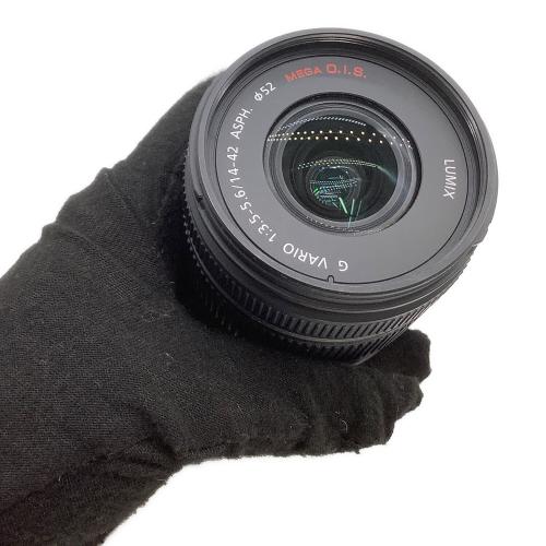 Panasonic (パナソニック) ミラーレス一眼カメラ DMC-GX1 LUMIX