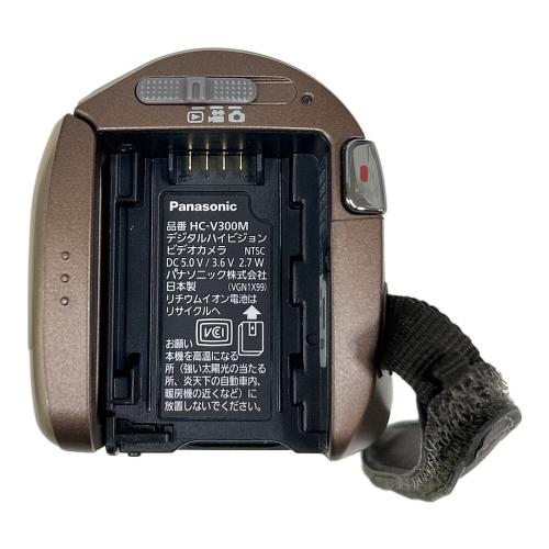 Panasonic (パナソニック) デジタルハイビジョンビデオカメラ HC-V300M