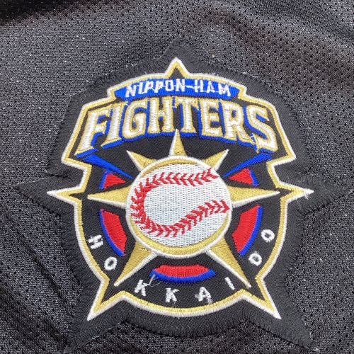 北海道日本ハムファイターズ (ホッカイドウニッポンハムファイターズ