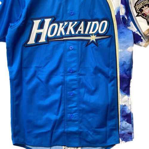 北海道日本ハムファイターズ (ホッカイドウニッポンハムファイターズ