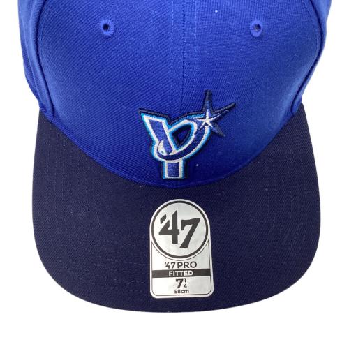 横浜DeNAベイスターズ (ヨコハマディーエヌエーベイスターズ) 応援