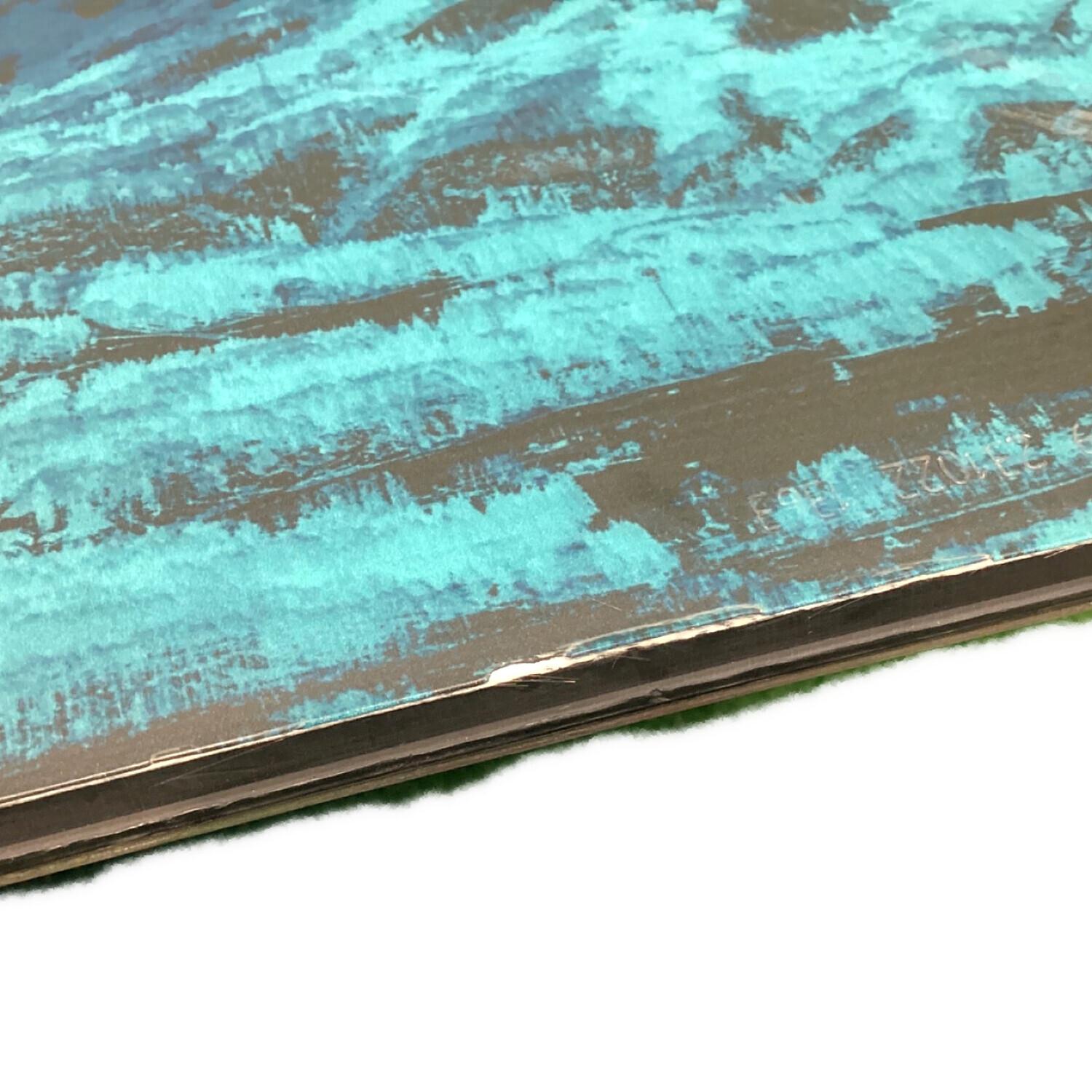 SG SNOWBOARD THE CULT スノーボード 159cm｜トレファクONLINE