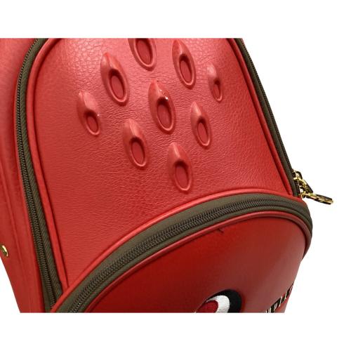 ZIPANG STUDIO キャディバッグ レッド 琉球ゴルフ ドラゴンキャディ