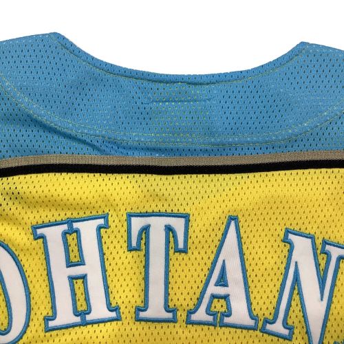 北海道日本ハムファイターズ (ホッカイドウニッポンハムファイターズ