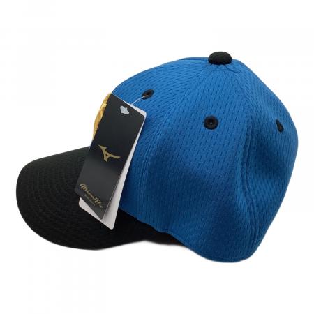 北海道日本ハムファイターズ (ホッカイドウニッポンハムファイターズ