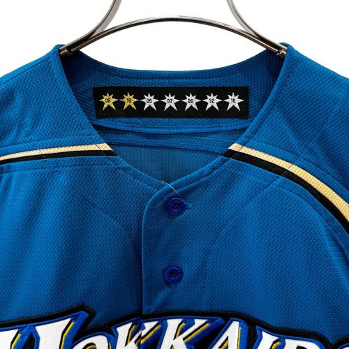 北海道日本ハムファイターズ (ホッカイドウニッポンハムファイターズ