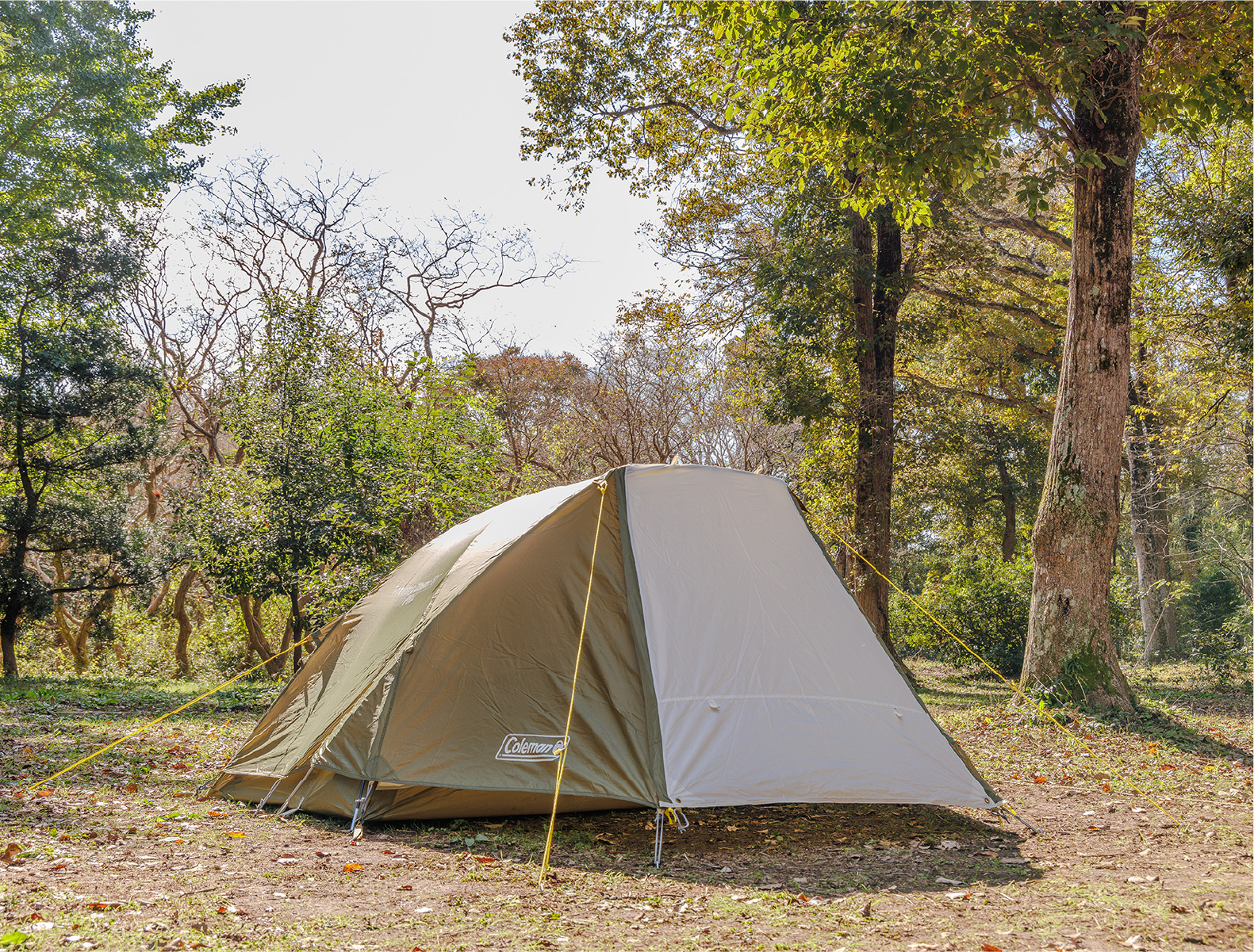ツーリングドーム/ST | アウトドア用品・キャンプ用品のコールマン